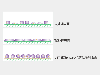 超低吸附表面具有共价结合的水凝胶层，具有极强的抗蛋白吸附性和抗细胞贴壁性，可有效抑制细胞附着